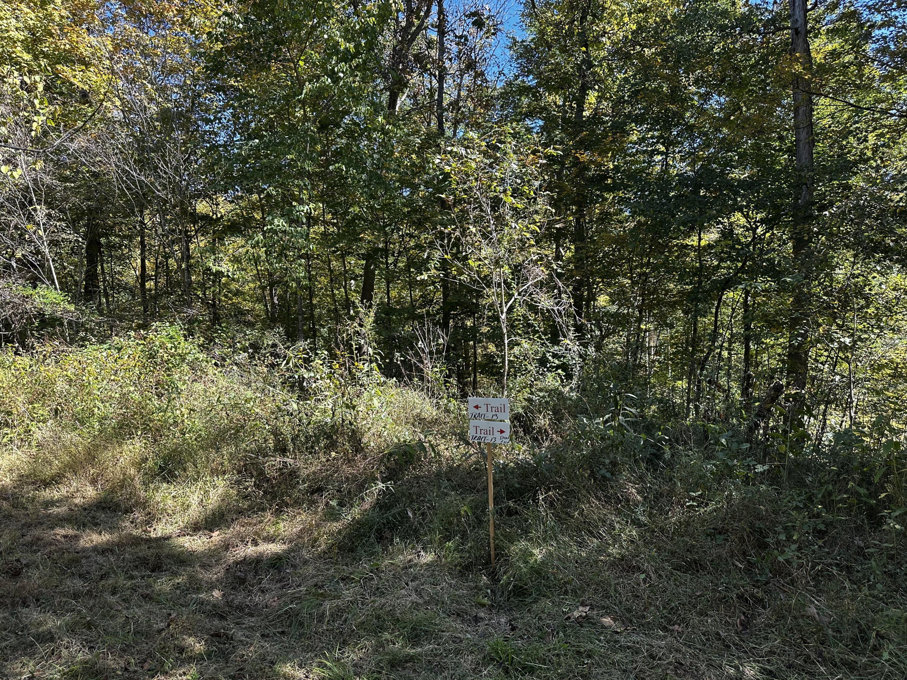 865 Hull Road, Unit TRACT 13 WOODS WAYNE FOREST) Patriot, OH 45658 - Photo 26 of 57 20241008_175208210_iOS