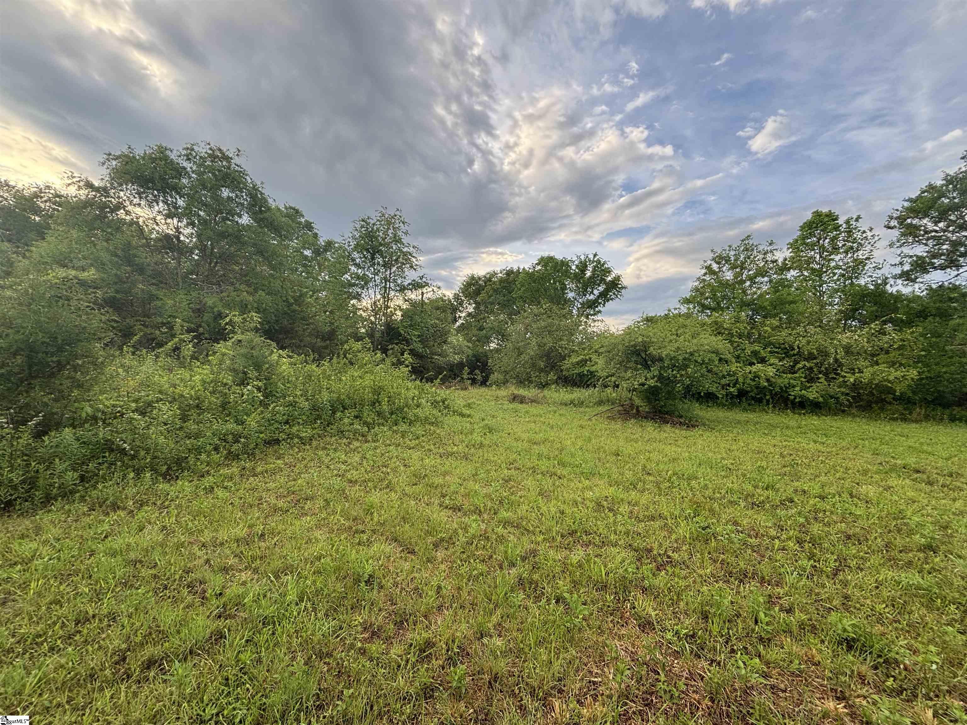 237 Places Drive Gray Court, SC 29645 - Photo 1 of 6