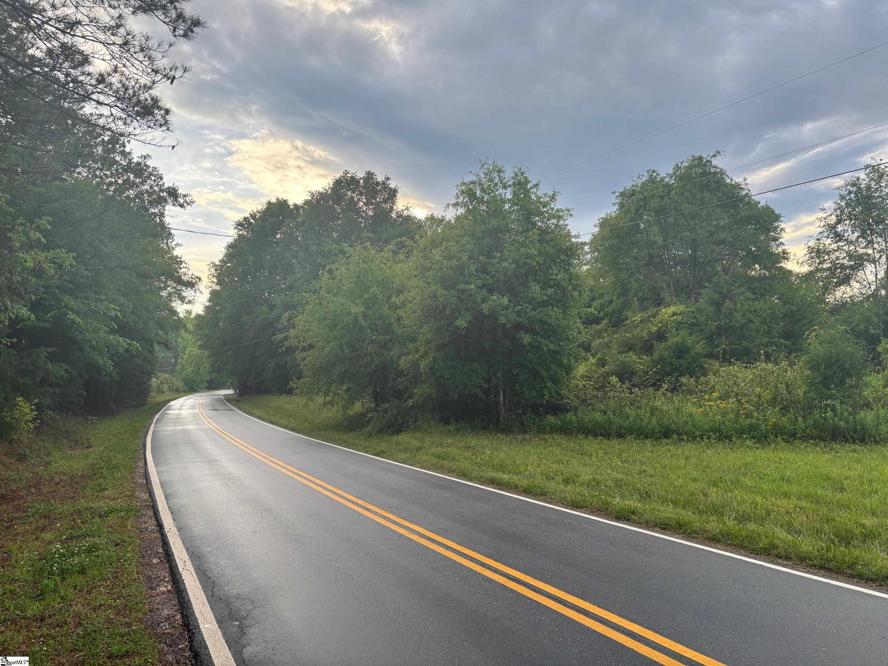 237 Places Drive Gray Court, SC 29645 - Photo 4 of 6