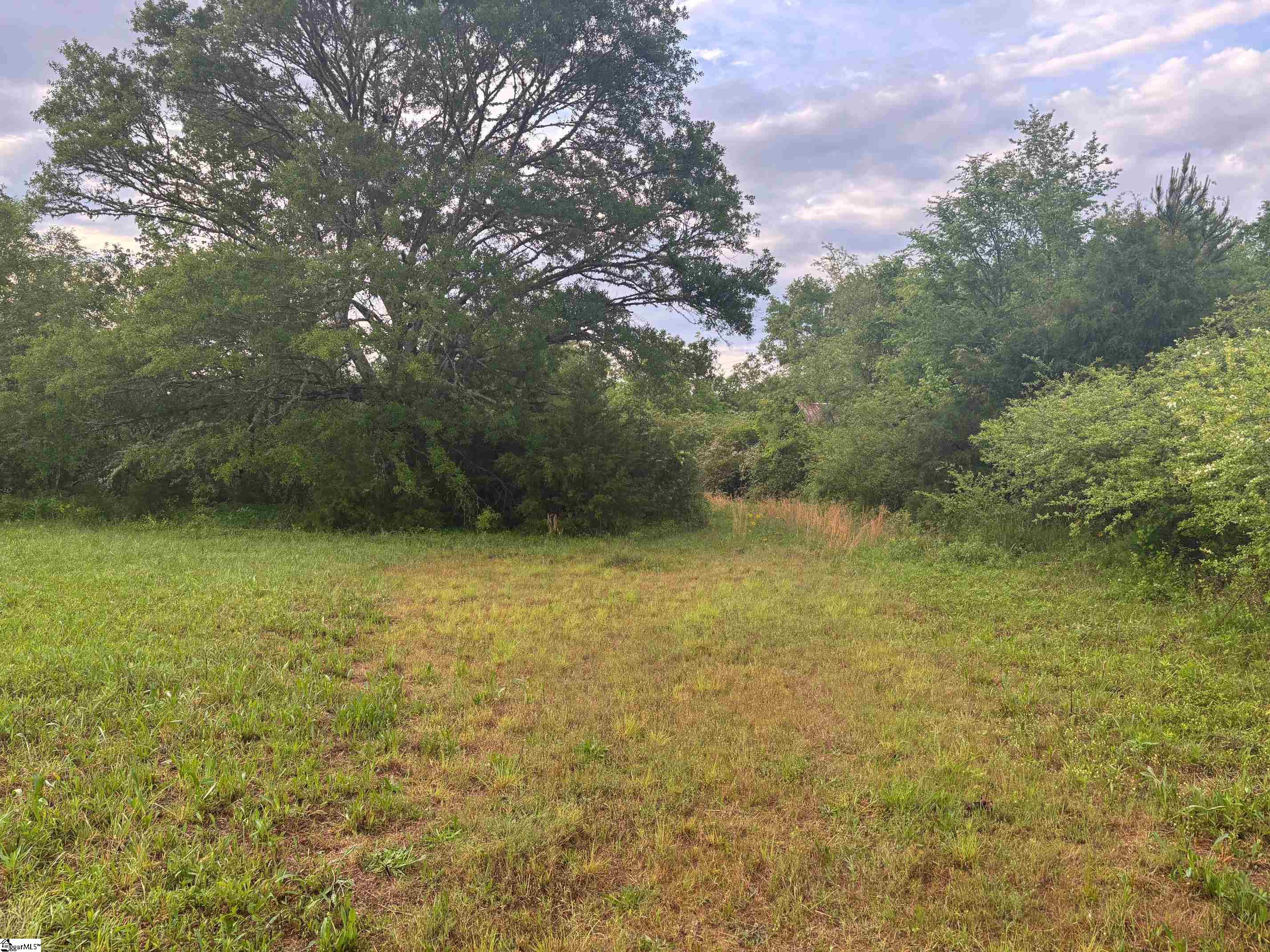 237 Places Drive Gray Court, SC 29645 - Photo 6 of 6