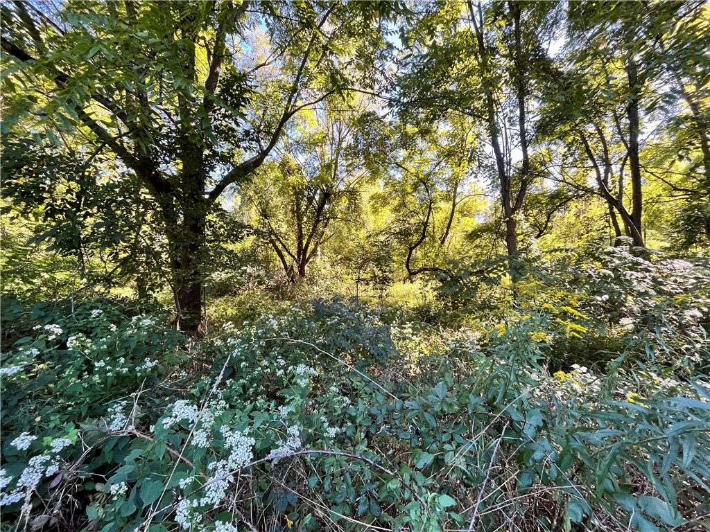 0 State Farm Road Arcadia, NY 14513 - Photo 11 of 24