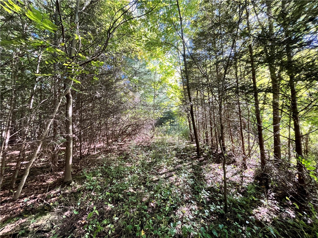 0 State Farm Road Arcadia, NY 14513 - Photo 13 of 24