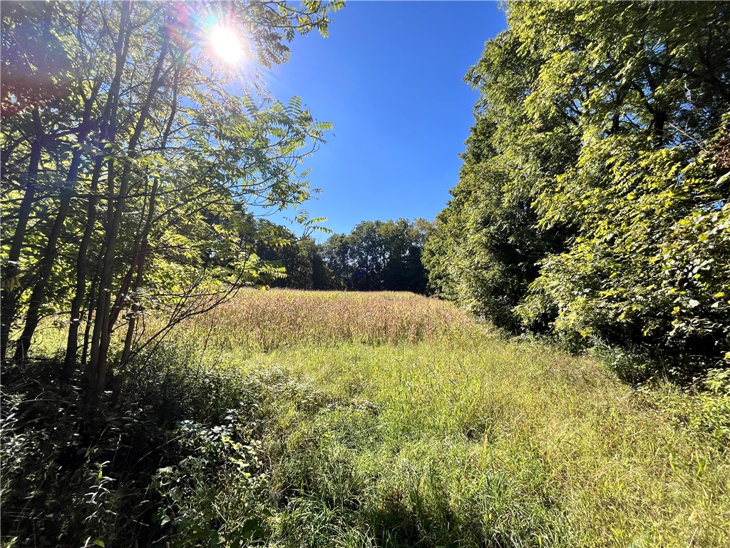 0 State Farm Road Arcadia, NY 14513 - Photo 14 of 24