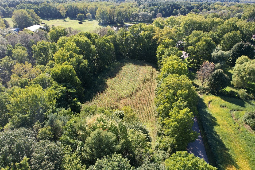 0 State Farm Road Arcadia, NY 14513 - Photo 15 of 24