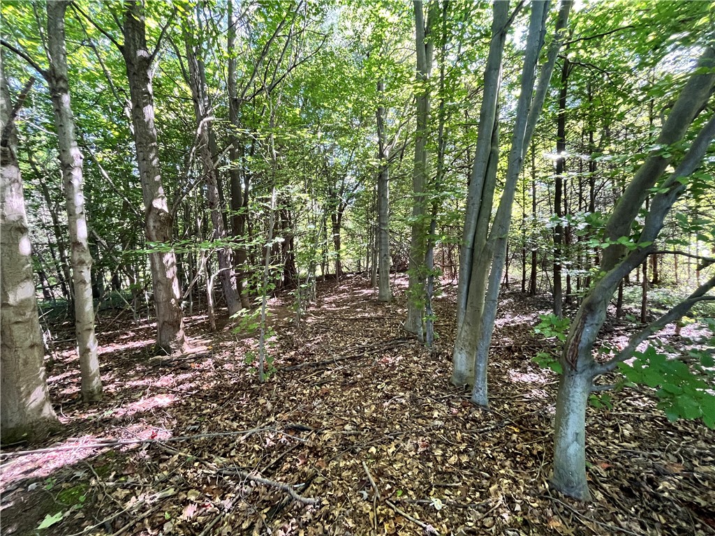 0 State Farm Road Arcadia, NY 14513 - Photo 16 of 24