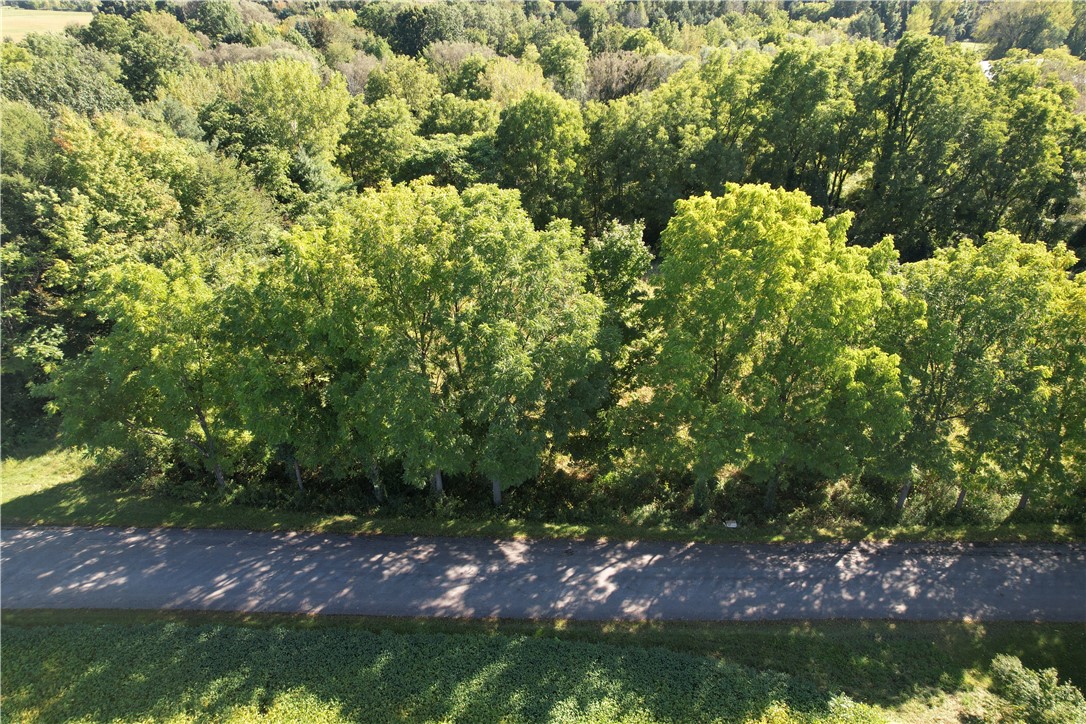 0 State Farm Road Arcadia, NY 14513 - Photo 18 of 24