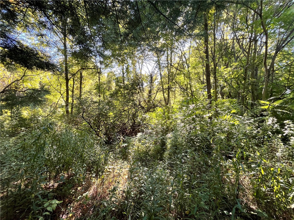 0 State Farm Road Arcadia, NY 14513 - Photo 19 of 24