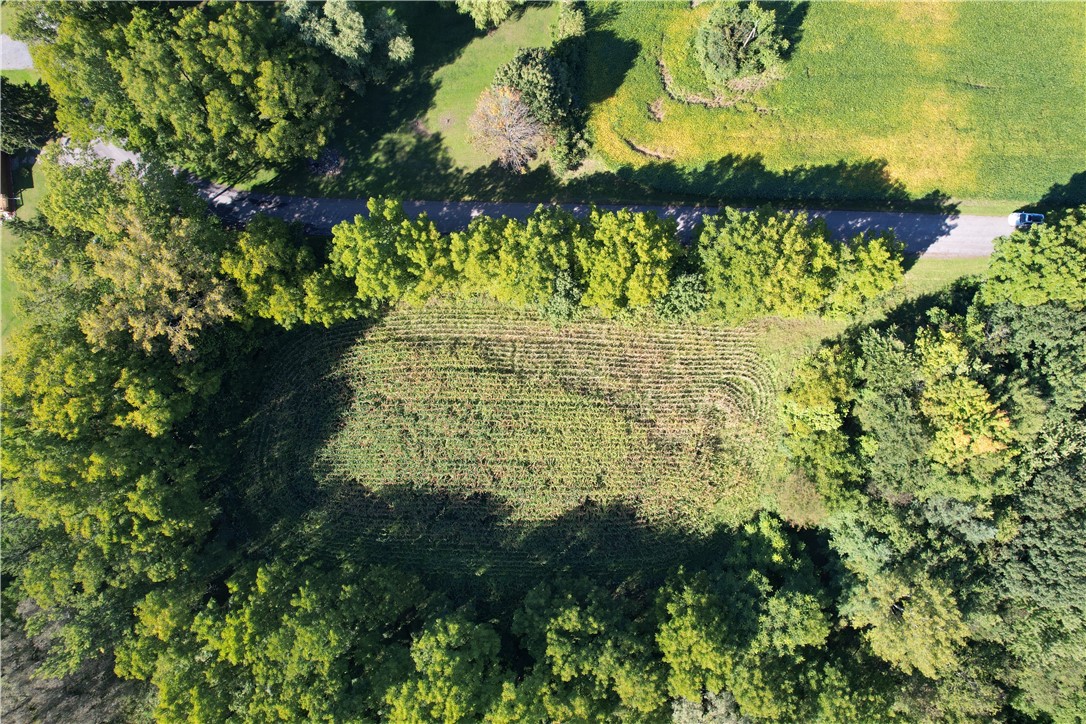 0 State Farm Road Arcadia, NY 14513 - Photo 2 of 24