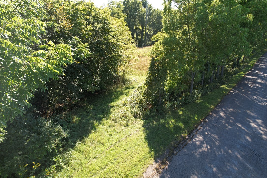 0 State Farm Road Arcadia, NY 14513 - Photo 3 of 24