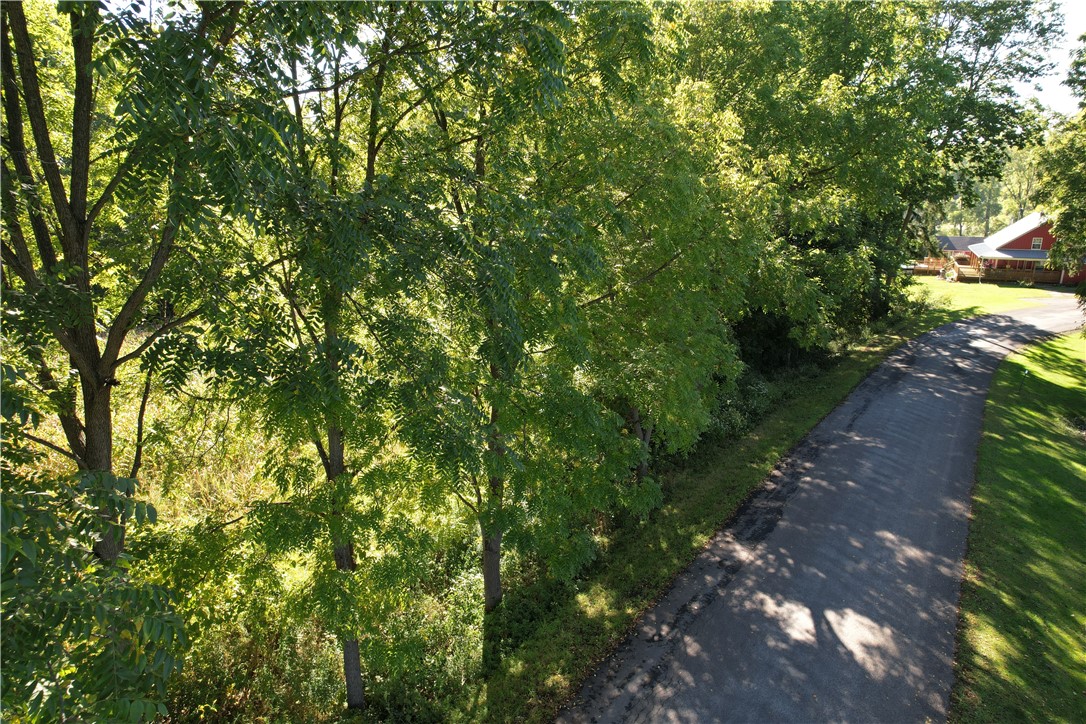 0 State Farm Road Arcadia, NY 14513 - Photo 4 of 24