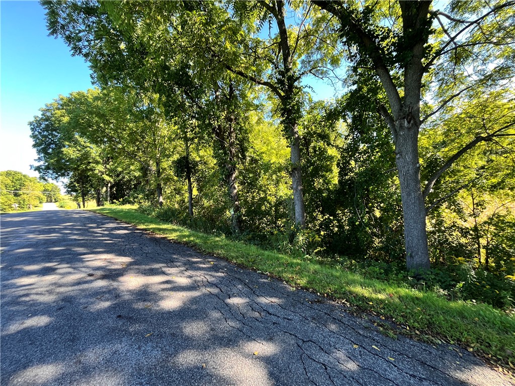 0 State Farm Road Arcadia, NY 14513 - Photo 5 of 24