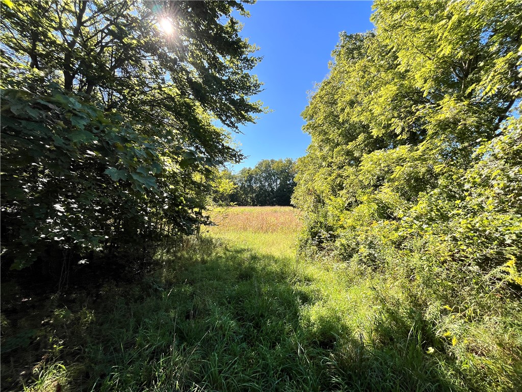 0 State Farm Road Arcadia, NY 14513 - Photo 7 of 24