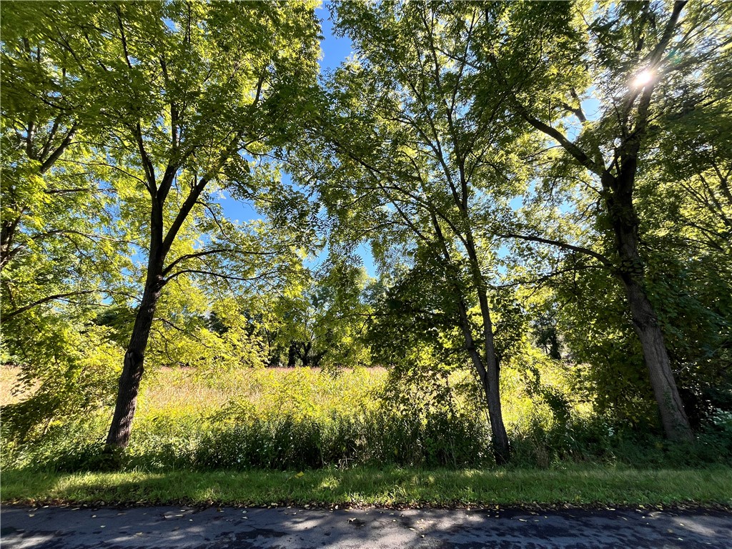 0 State Farm Road Arcadia, NY 14513 - Photo 8 of 24