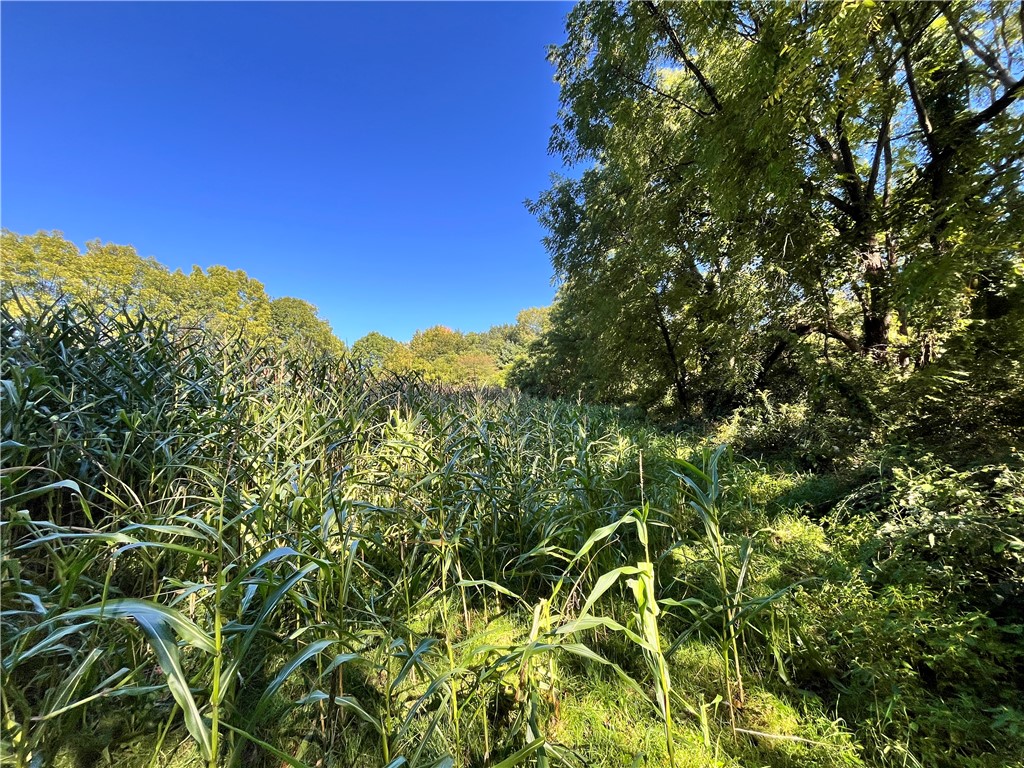 0 State Farm Road Arcadia, NY 14513 - Photo 9 of 24