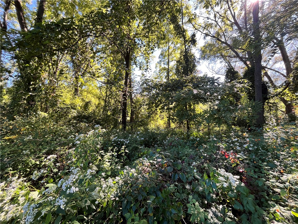 0 State Farm Road Arcadia, NY 14513 - Photo 10 of 24