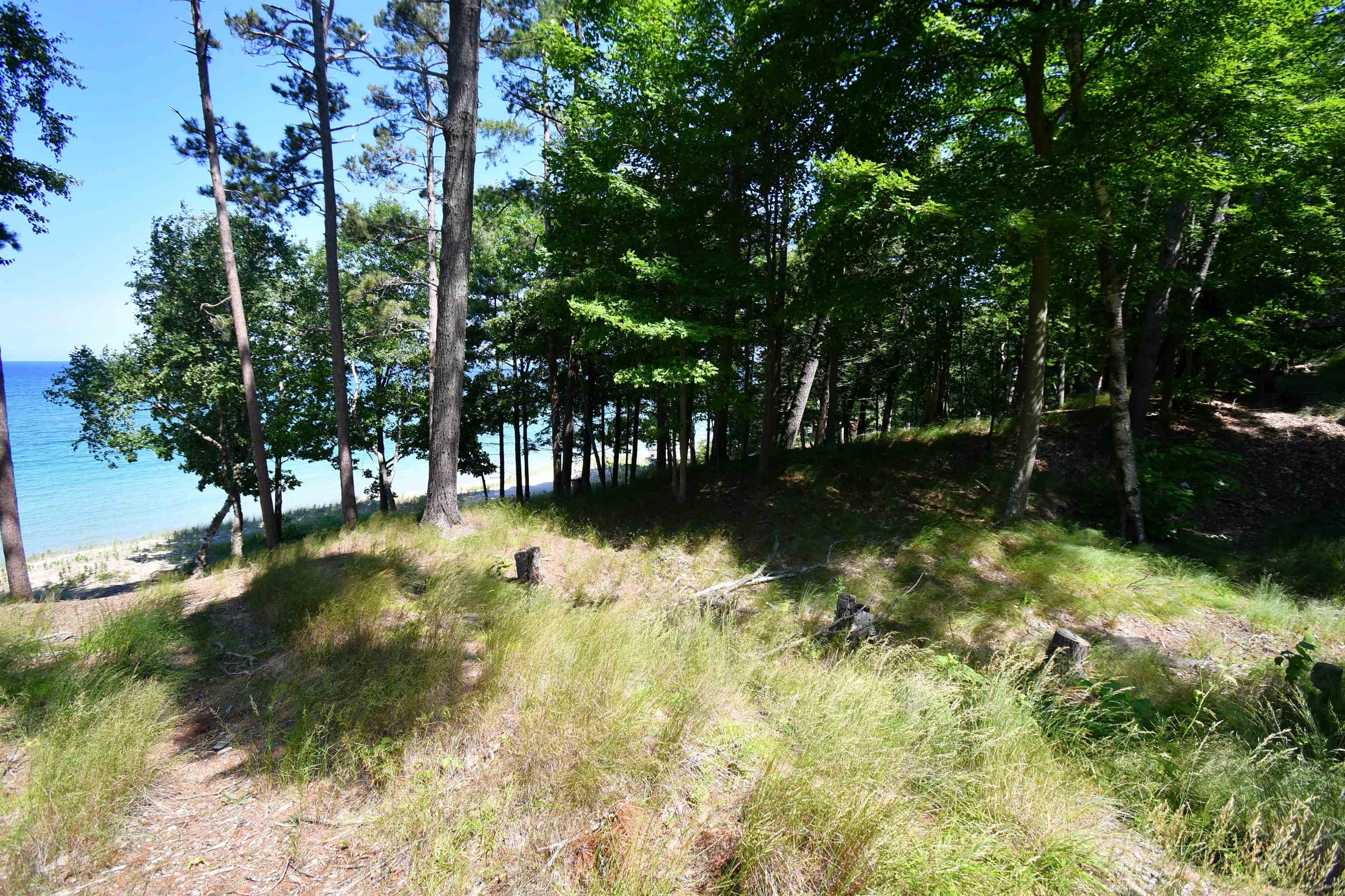 0 Mt McSauba Road Charlevoix, MI 49720 - Photo 15 of 33