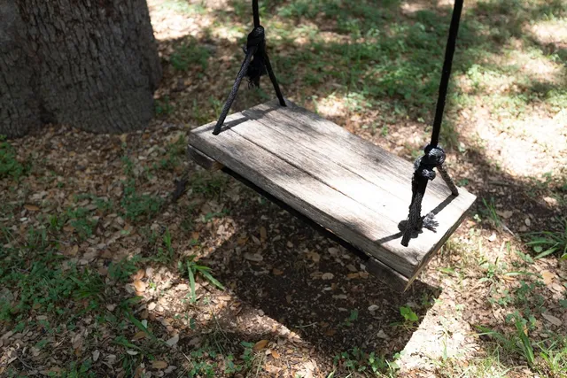 $2,875 | 3005 Menchaca Road, Austin, TX 78704