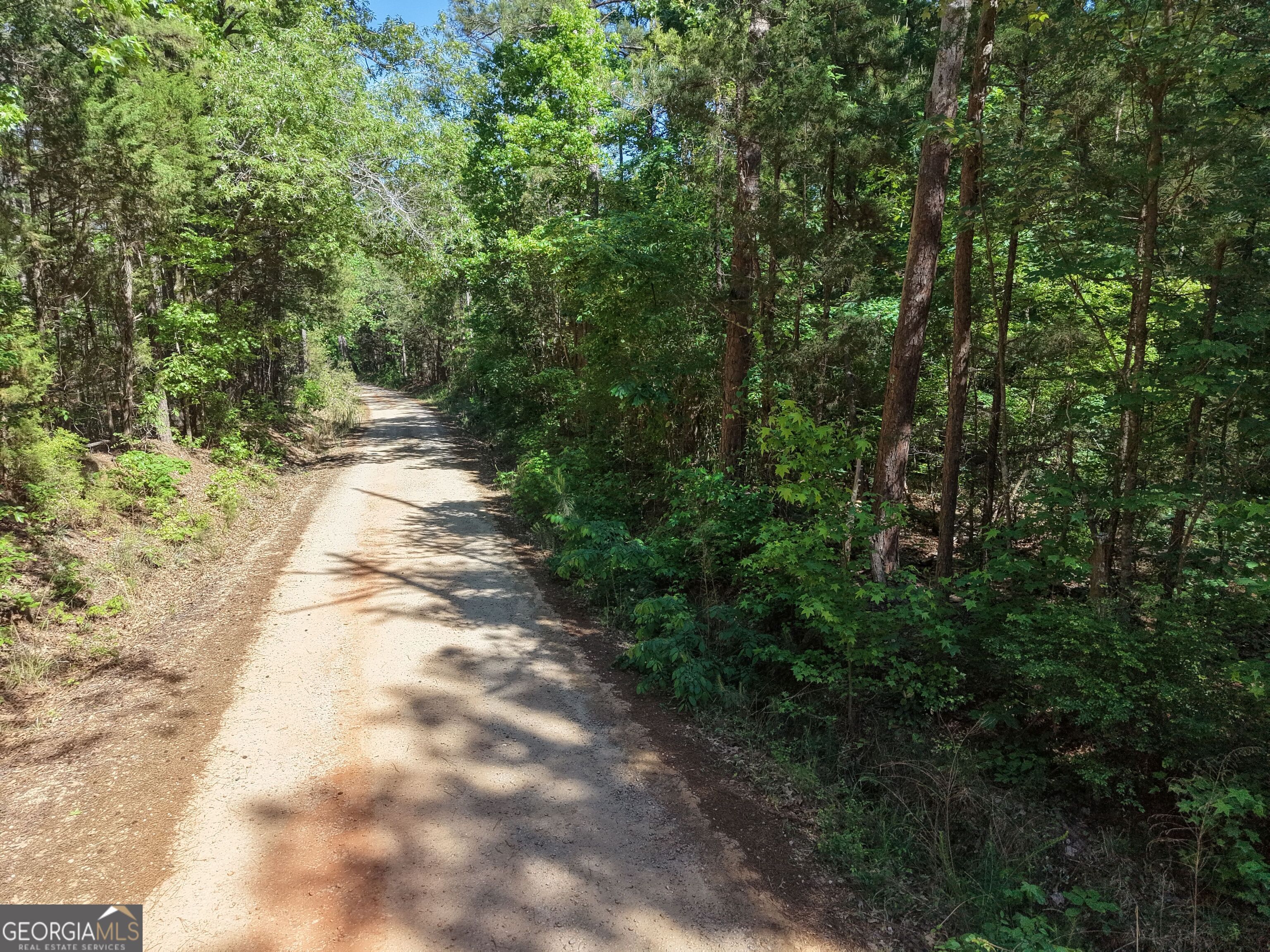 580 Saggus Road Washington, GA 30673 - Photo 17 of 54