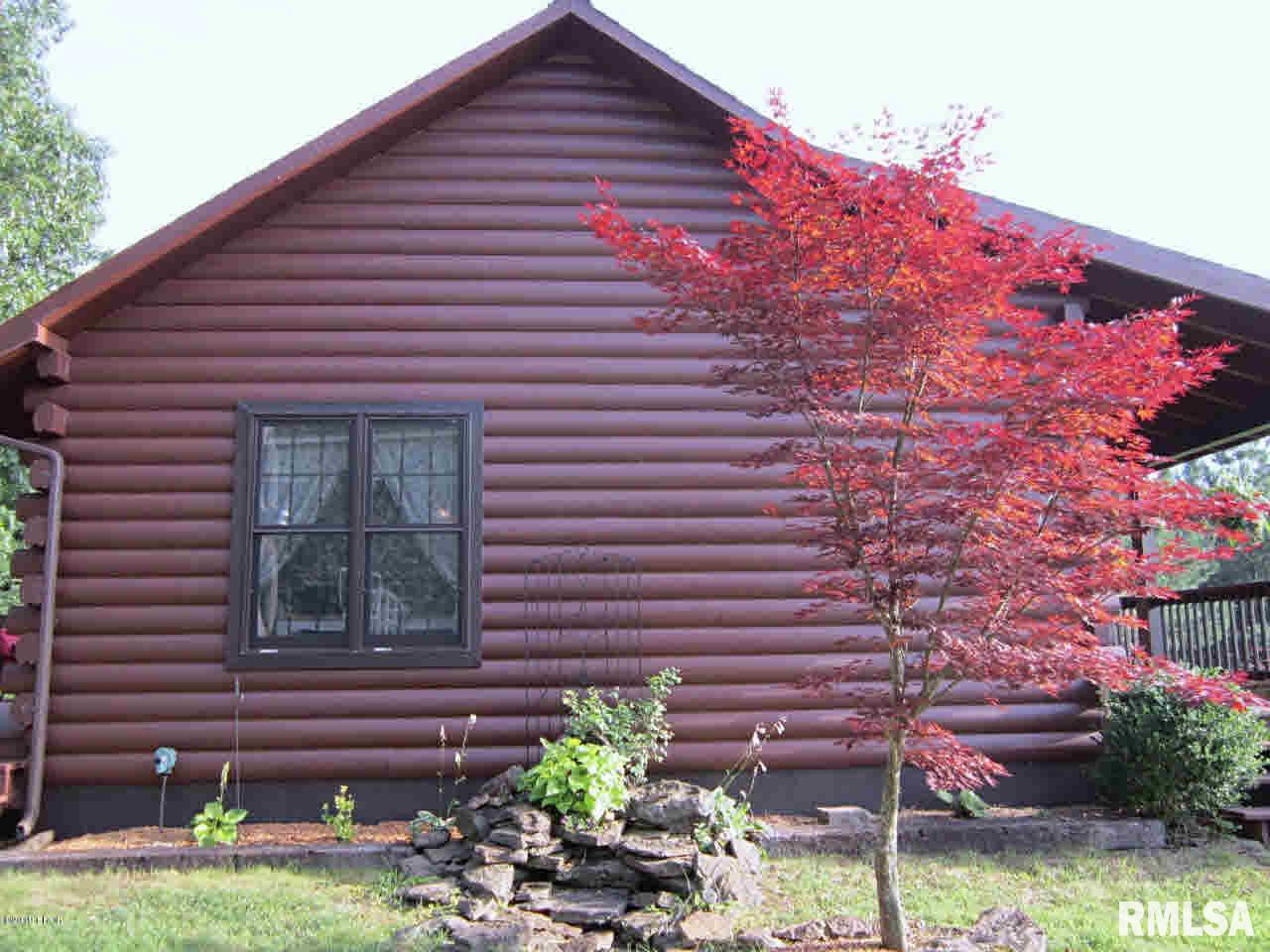 3584 Mill Springs Road Brookport, IL 62910 - Photo 4 of 49