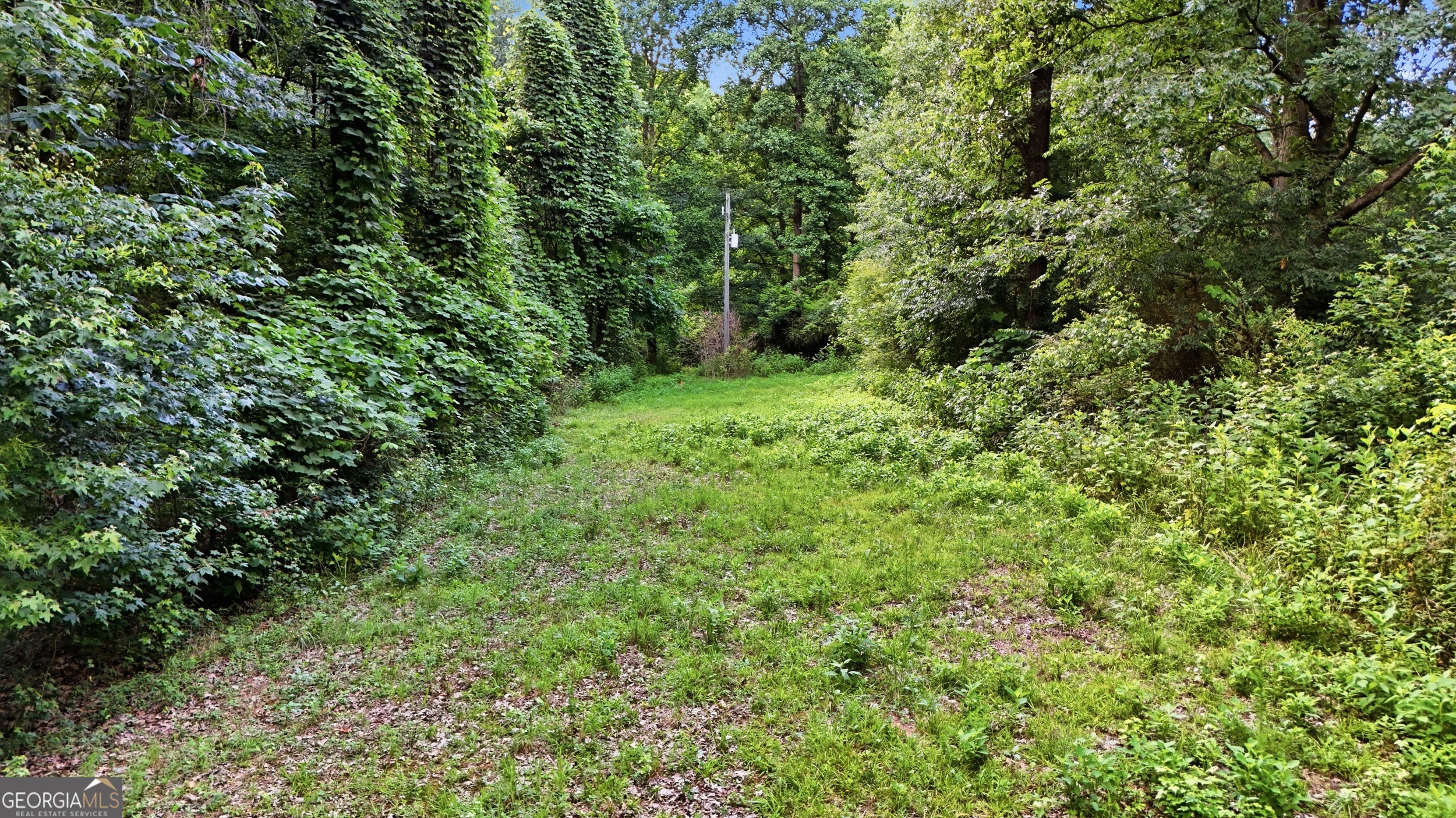 0 Lord Road Commerce, GA 30530 - Photo 13 of 22