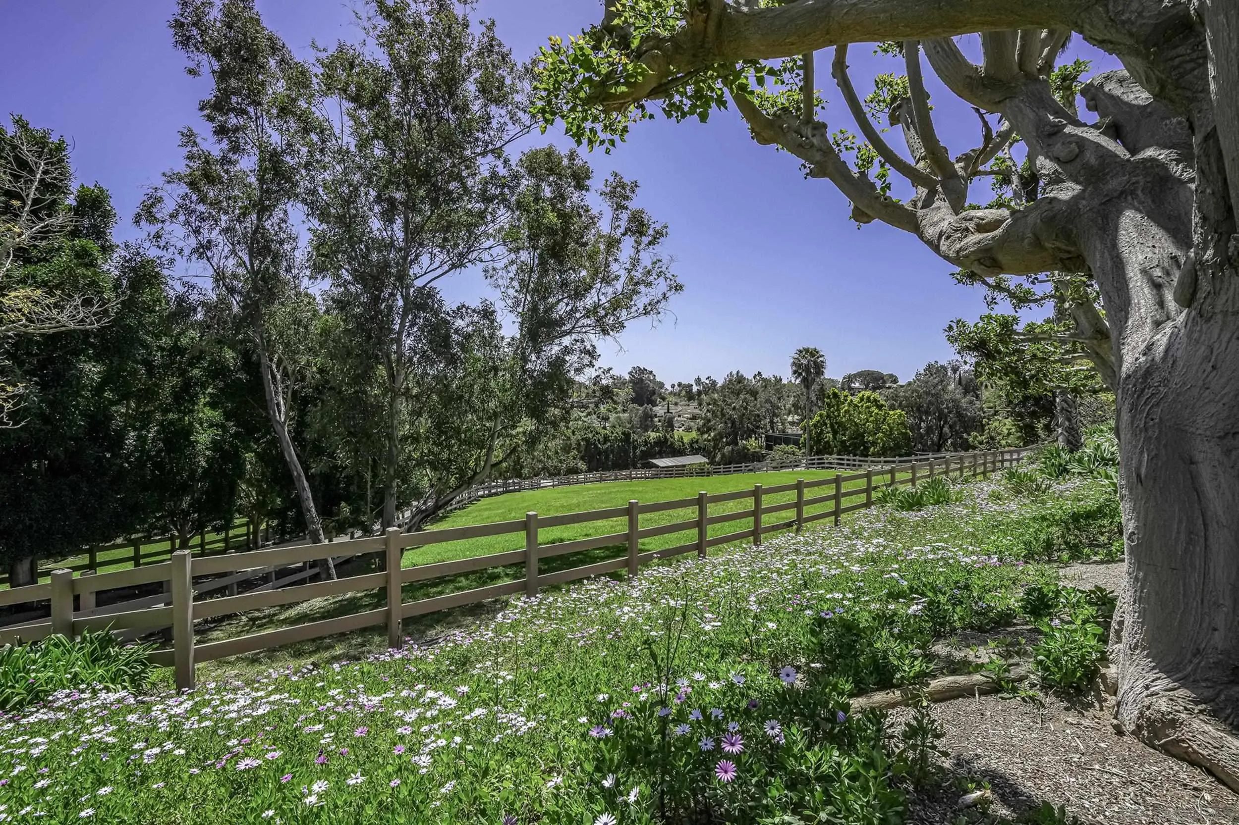 5305 La Crescenta Road Rancho Santa Fe, CA 92067 - Photo 18 of 63 Great glimpse of the upper pasture