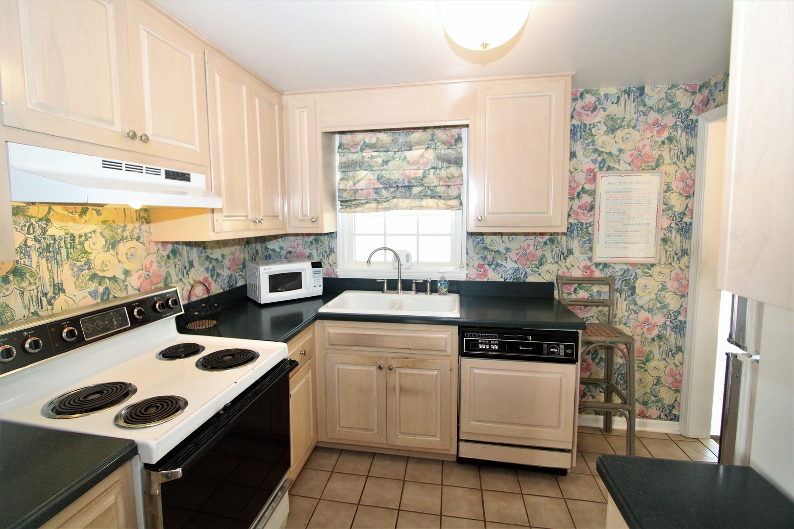 1613 Jones Street Joliet, IL 60435 - Photo 9 of 29 a kitchen with a stove a sink and a microwave