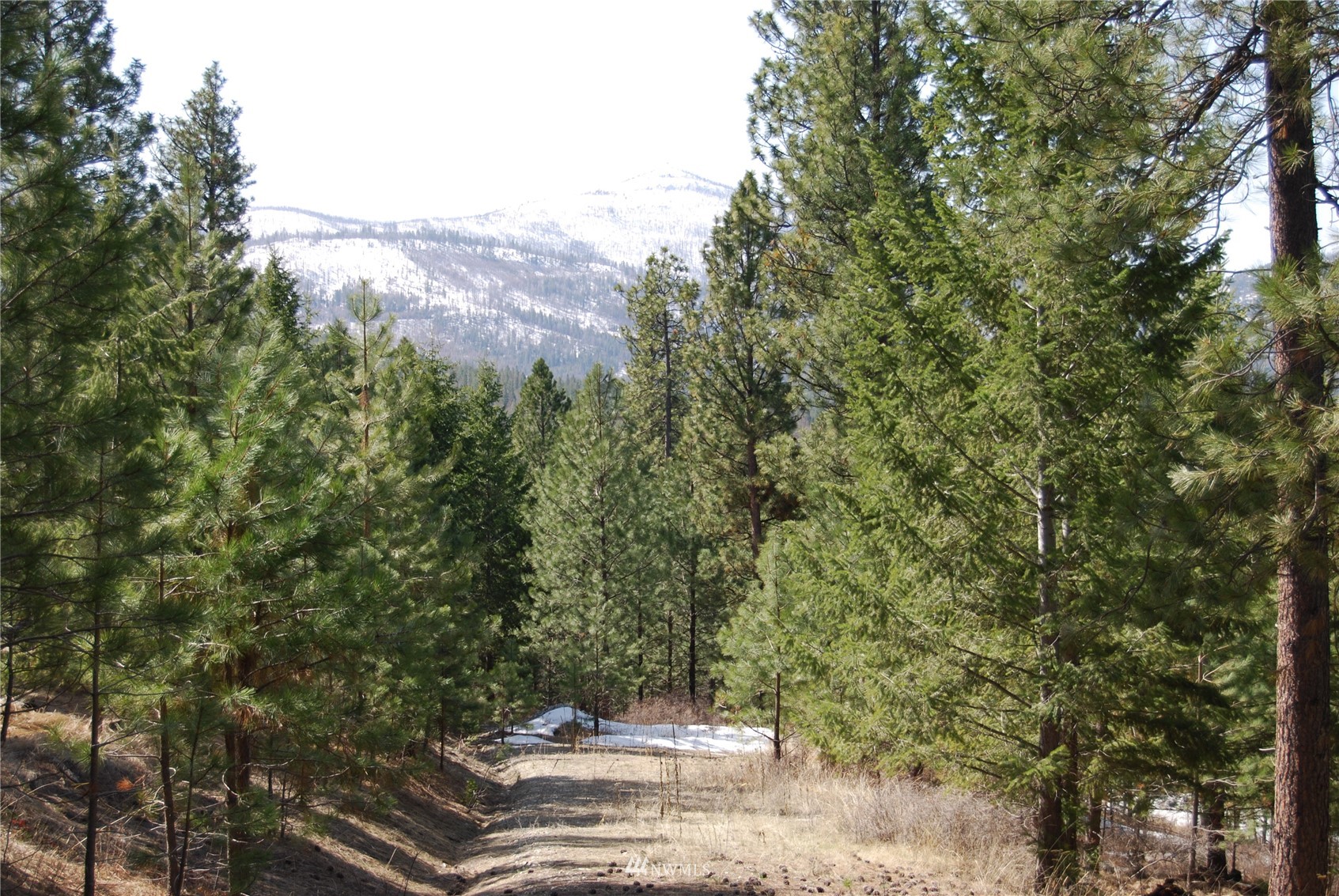 1 Stagecoach Trail Riverside, WA 98849 - Photo 1 of 1 Gallery Image 1