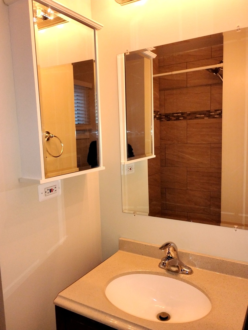 371 South Edison Avenue Elgin, IL 60123 - Photo 23 of 32 a bathroom with a sink and a mirror