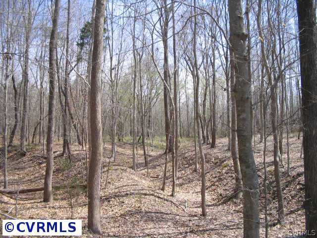 6300 South Hill Road Kenbridge, VA 23944 - Photo 1 of 10 a view of outdoor space with sitting area