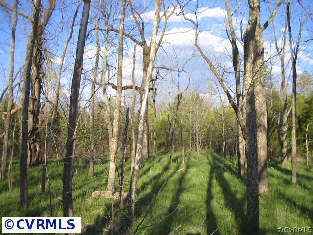 6300 South Hill Road Kenbridge, VA 23944 - Photo 5 of 10
