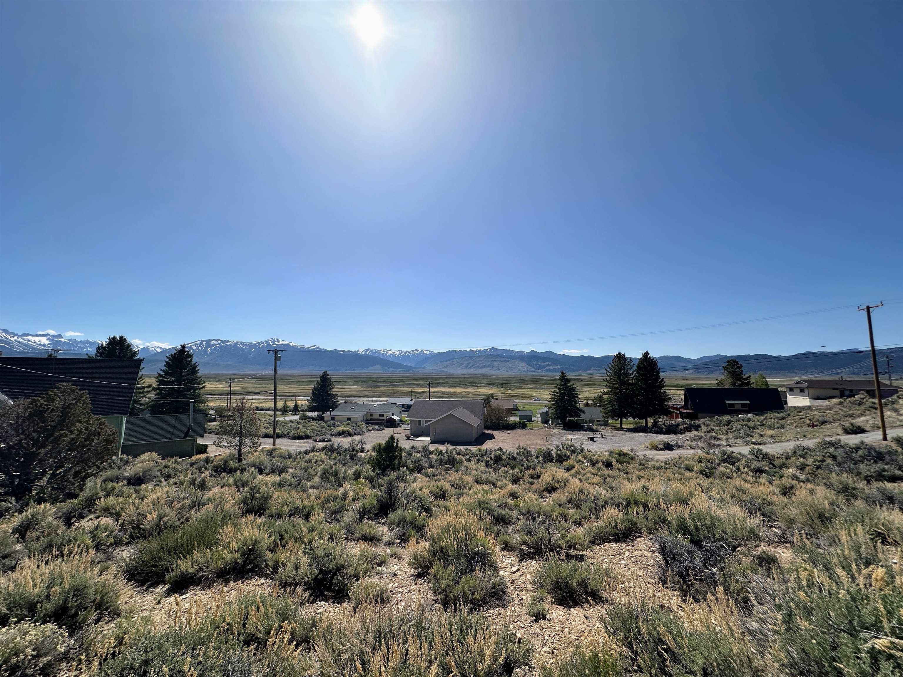 Lot 11 Rickey Peak Road Bridgeport, CA 93517 - Photo 4 of 14