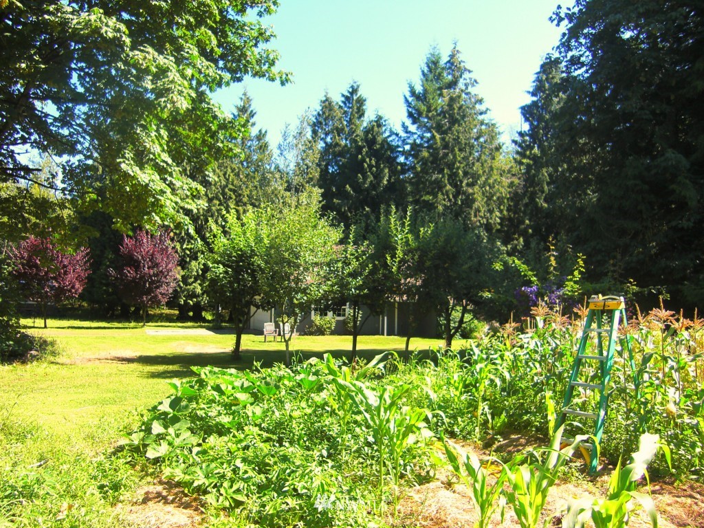 2301 East Pole Road Everson, WA 98247 - Photo 2 of 18