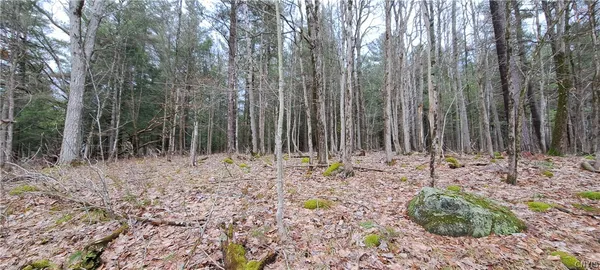 $120,000 | Sweet Point Road, Redwood, NY 13679