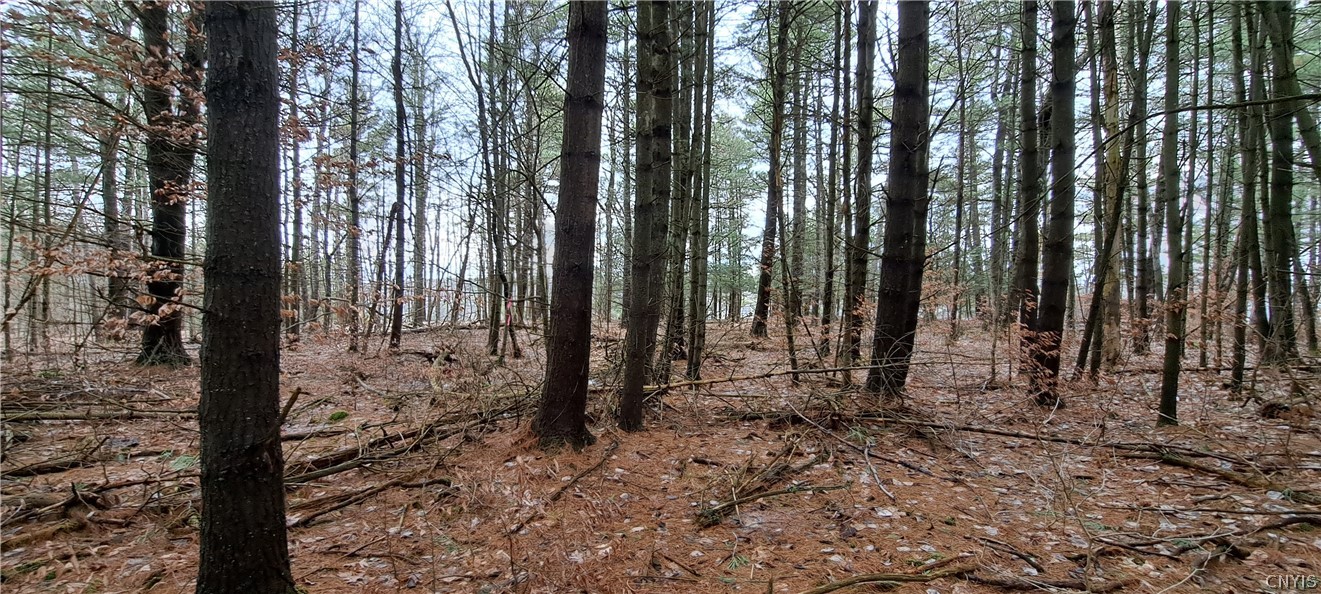 Sweet Point Road Redwood, NY 13679 - Photo 2 of 7