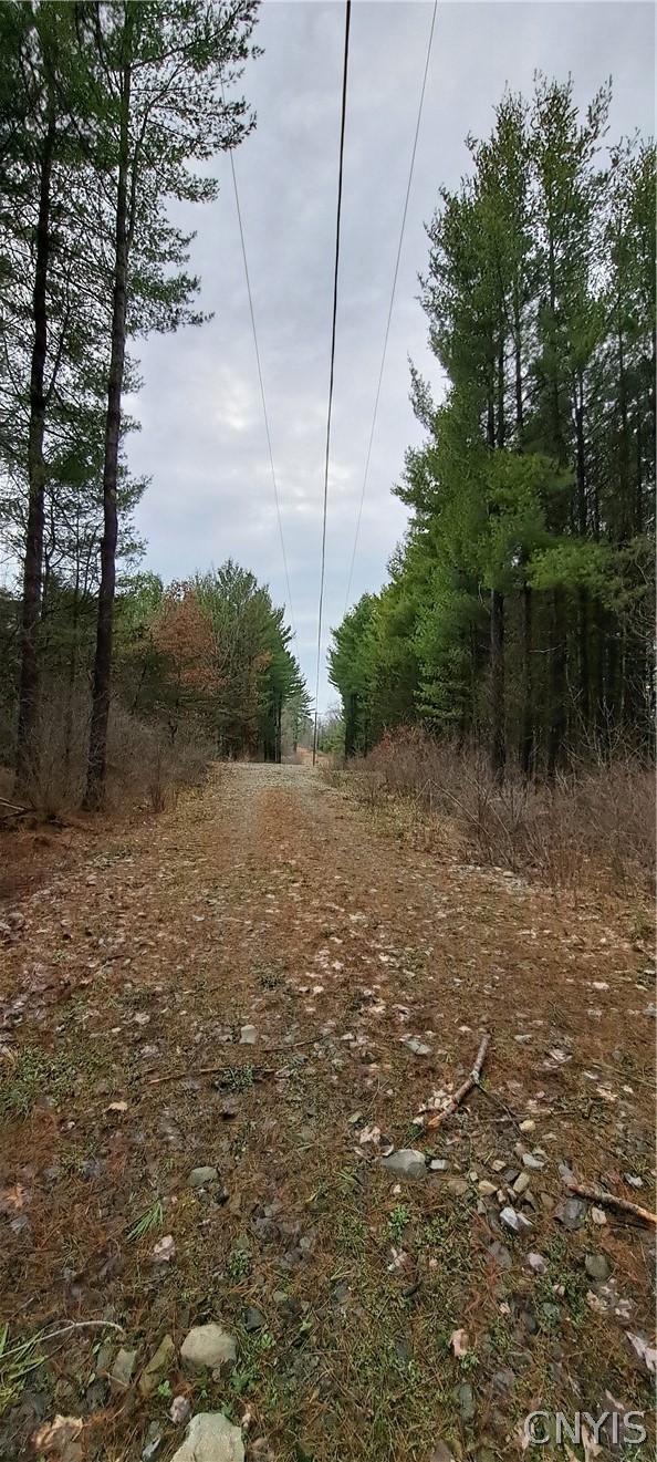 Sweet Point Road Redwood, NY 13679 - Photo 4 of 7