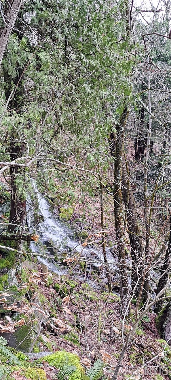 Sweet Point Road Redwood, NY 13679 - Photo 6 of 7