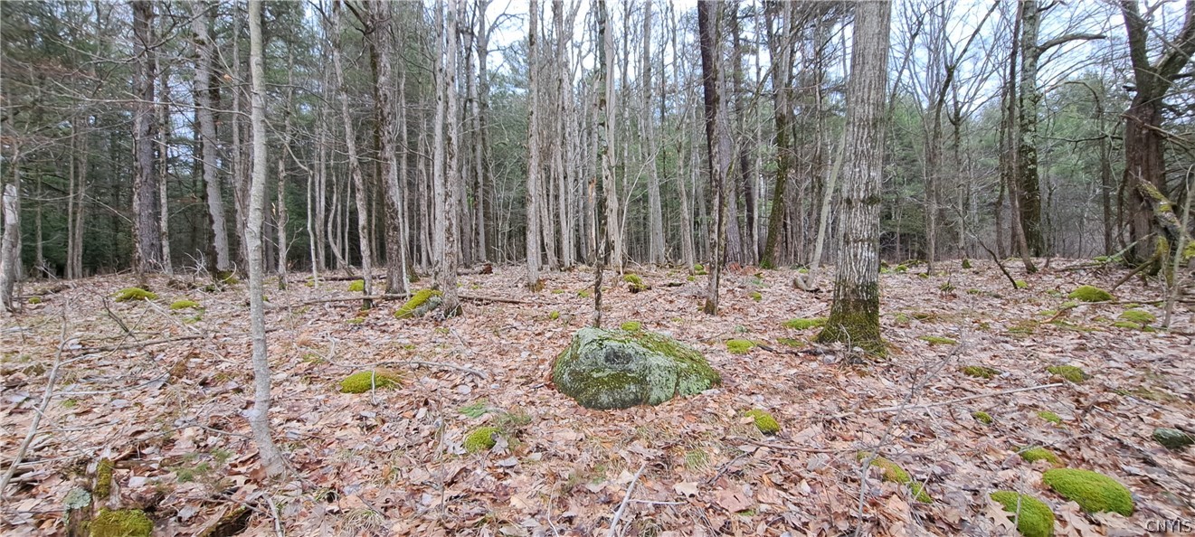 Sweet Point Road Redwood, NY 13679 - Photo 7 of 7