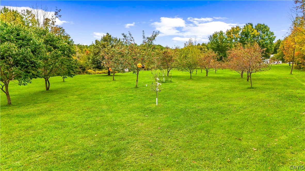 5652 Streun Road Lee, NY 13363 - Photo 11 of 48 Mature and young fruit trees