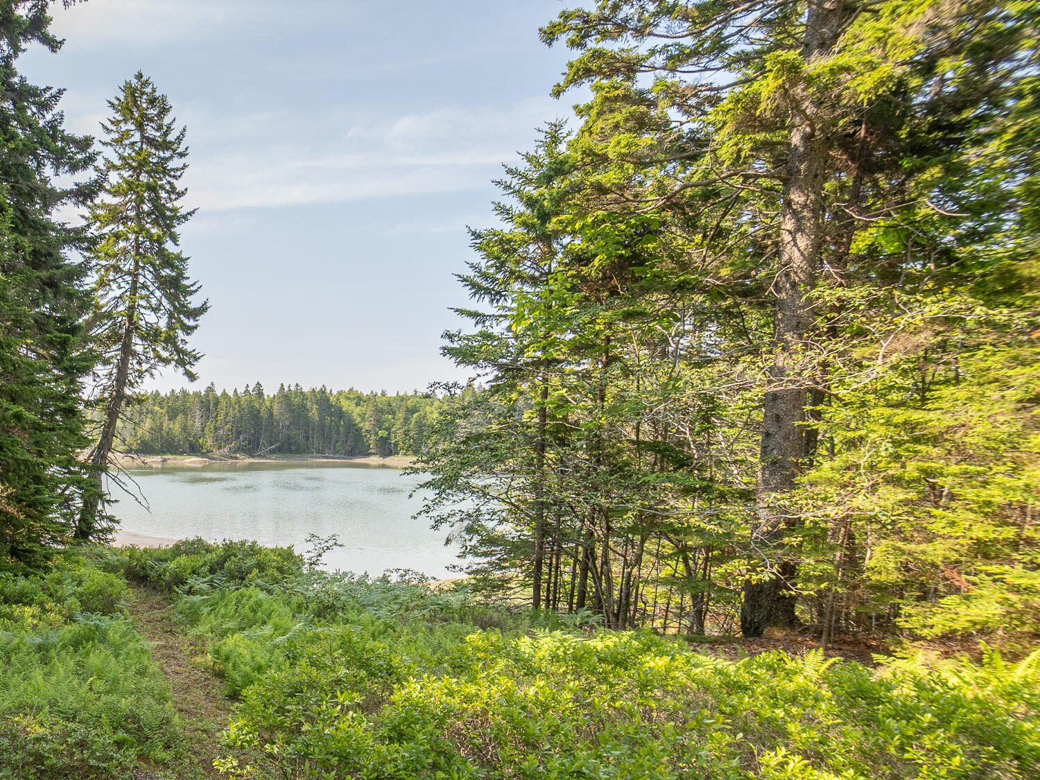 70 Island Retreat Road Swans Island, ME 04685 - Photo 2 of 37 313 Harbor-1387