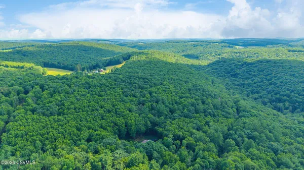 $369,900 | Mendenhall Hill Road, Benton, PA 17814