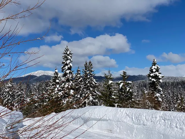 $599,500 | 1697 Club Hill Boulevard, Unit 4, McCall, ID 83638