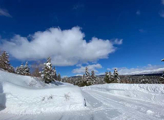 $599,500 | 1697 Club Hill Boulevard, Unit 4, McCall, ID 83638