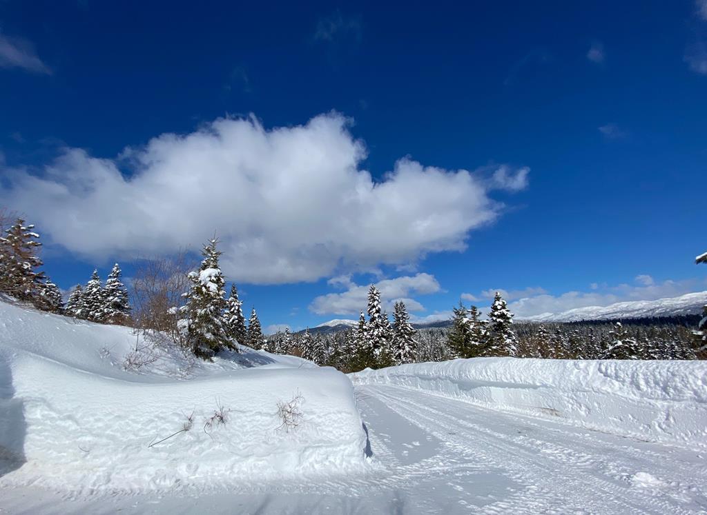 1697 Club Hill Boulevard, Unit 4 McCall, ID 83638 - Photo 15 of 22