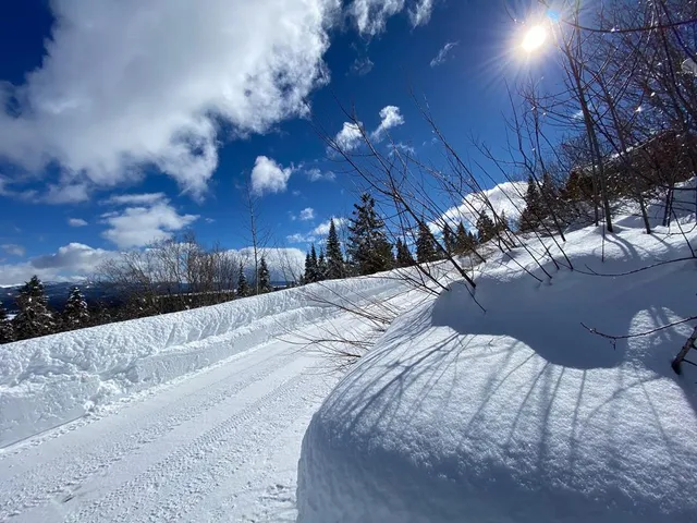 $599,500 | 1697 Club Hill Boulevard, Unit 4, McCall, ID 83638