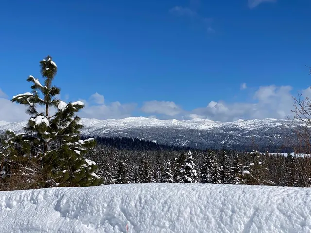 $599,500 | 1697 Club Hill Boulevard, Unit 4, McCall, ID 83638