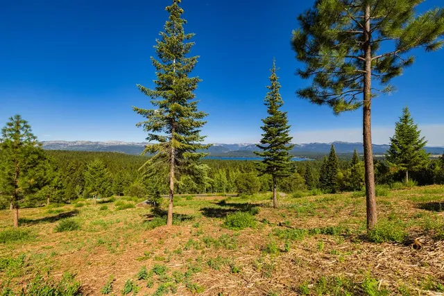 $599,500 | 1697 Club Hill Boulevard, Unit 4, McCall, ID 83638