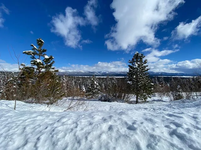 $599,500 | 1697 Club Hill Boulevard, Unit 4, McCall, ID 83638