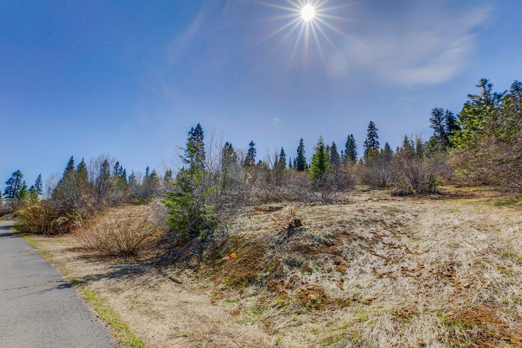 1697 Club Hill Boulevard, Unit 4 McCall, ID 83638 - Photo 5 of 22