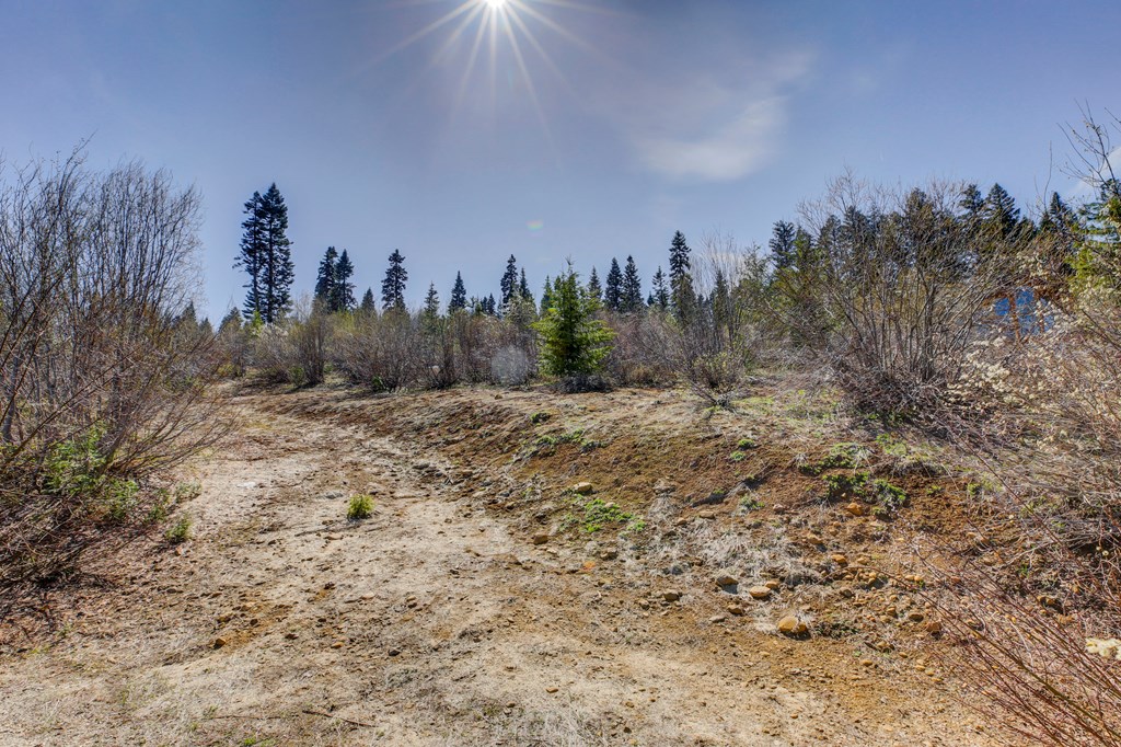 1697 Club Hill Boulevard, Unit 4 McCall, ID 83638 - Photo 7 of 22