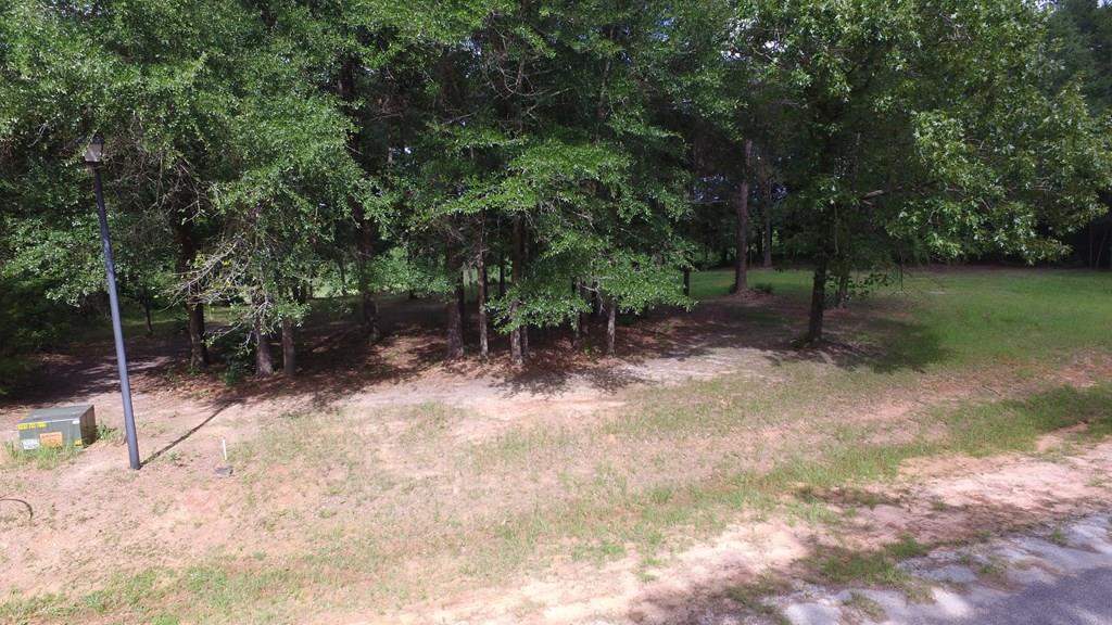 0 Meadow Lane Road Andalusia, AL 36421 - Photo 27 of 30 Gallery Image 27